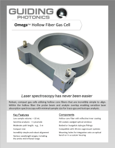 Omega Hollow Core Fiber Gas Cell